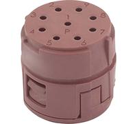 Insert 9 pôles EPIC® SIGNAL M23 P LAPP 73002724 5 pc(s)