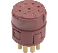 Insert 9 pôles EPIC® SIGNAL M23 P LAPP 73002729 20 pc(s)