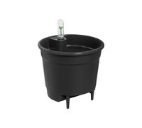 Insert auto-arrosant pour pots - 33 cm