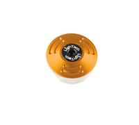 Insert Cadre LighTech Ø extérieur 30 - Ø intérieur 25-26,5 or