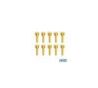 Insert/Connecteur Compatible Shimano 2.3mm Pour Durite Frein (X10)