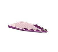Insert de Lame Börner pour V5 PowerLine & Börner Vital (10 mm) • Insert de Lame pour Coupe-légumes • Coupe Frites • Pour Bâtonnets & Dés • Accessoire de Mandoline en V (Violet)