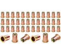 Insert Fileté Metal M8 Ecrou a Sertir 70 Pièces Aveugle Rivet Fileté Écrous à Tête Plate Plaqués Zinc Écrous à Rivets Aveugles Rivet Inserts Filetés pour Métal Plastique etc (Lot de 2)