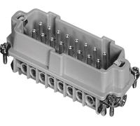 Insert mâle Nombre total de pôles 16 + PE Amphenol C146 10A016 002 1-1 Heavy/mate® C146 1 pc(s)