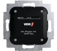 Insert Radio 2cka008200a0275 - Busch-jaeger