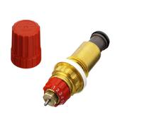 Insert thermostatique DL pour tête RA2990-RA2920-RAW-RAX