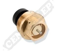 Insert thermostatique - Eurosar (avant 2014) - Comap - Pour robinet 1/2'