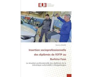 Insertion socioprofessionnelle des diplômés de l'EFTP au Burkina Faso: La situation professionnelle des diplômés de la mécanique automobile à Ouagadougou