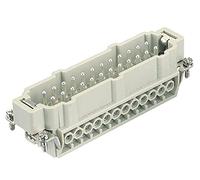 INSERTO MASCHIO 24 POLI 933.0242601