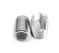 Inserts autotaraudeurs à filetage intérieur, Embouts de réparation filetage autotaraudeurs fendus argentés et dorés M2 à M10, assortiment(Stainless,M2 10pcs)