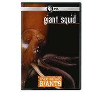 Inside Nature's Giant Squid