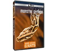 Inside Natures Giants: Monster Python
