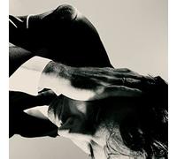 Andrew Bird Inside Problems (Vinyl)