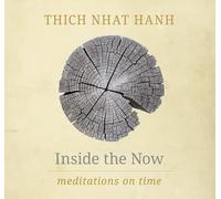 Inside the Now: Meditations on Time