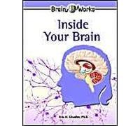Inside Your Brain