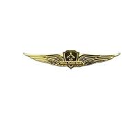 Insigne d'ailes d'officier de Bord de Pilote, Insigne de Navigation des compagnies aériennes de l'aviation Civile, épingles en métal, médaille de défi, pièces de Monnaie(19)