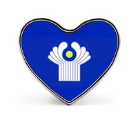 Insigne du drapeau de l'Association nationale des États indépendants - Convient aux étudiants, aux dirigeants, aux enseignants, aux activités commémoratives d'unité, broche décorative