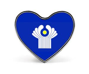 Insigne du drapeau de l'Association nationale des États indépendants - Convient aux étudiants, aux dirigeants, aux enseignants, aux activités commémoratives d'unité, broche décorative