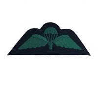 Insigne parachutiste - qualification - Royal Irish Regiment - Prince of Wales Division Infantry - British Army