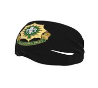 Insignia USA Army 2e régiment de cavalerie V2 Bandeaux Hommes Femmes Antidérapant Évacuant la Transpiration Sport Bandeau pour Gym Basketball Yoga Bandeaux Cheveux