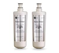 InSinkErator 43961 Lot de 2 filtres de remplacement