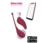 Inspiration Duo Stimulateur Clitoridien Succion et Oeuf Vibrant Connecté Télépho