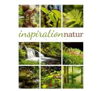 Inspiration Natur Kalender 2026 | Vielfältiger Natur-Kalender im großen Hochformat (50x66 cm) | Mehrteilige Bildmosaike im Triplet-Stil