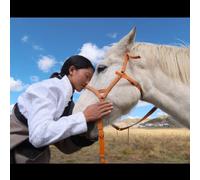 Insta360 Cinematic Lens pour Ace Pro 2