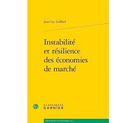 Instabilité Et Résilience Des Économies De Marché