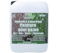 InstaGreen Premium peinture pour haies et gazon 10 litres - prête à l'emploi pour gazon et haies - contre le jaunissement du gazon - naturellement à base d'eau vaporisable biodégradable