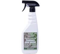 InstaGreen Premium peinture pour haies et gazon 500ml vaporisateur - prête à l'emploi pour gazon et haies - contre le jaunissement du gazon - naturellement à base d'eau vaporisable biodégradable