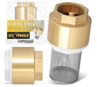 Instalguru Soupape Antiretour Laiton 3/4'' Clapet De Pied Pompe Aspiration Panier Inox Filtre Pour Pompe Installation Plomberie Eau Réparation Fourniture