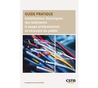 Installations électriques des bâtiments à usage professionnel et recevant du public Dominique Serre (Auteur), Didier Hérisson (Auteur)