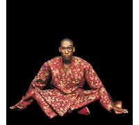 Raphael Saadiq – Instant Vintage – CD – Import