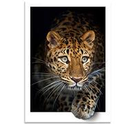 Instarry DIY 5D Broderie Diamant Grand Format Guépard Tableau Decoration Murale Chambre 75x50 cm