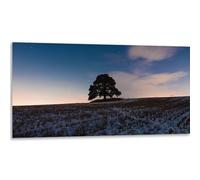 Instarry DIY 5D Diamond Painting Peinture Diamant Arbre Ciel Terre Home Décoration 120x60 cm