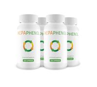 Institut Actiscience HEPAPHENOL 4 MOIS (480 Gélules) CONFORT INTESTINAL - HEPATIC - 13 INGRÉDIENTS FAVORISANT LA DÉTOX & LE DRAINAGE