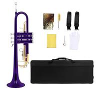 Instrument à vent en tôle pour étudiants, trompette standard, avec étui de rangement, corne, cadeau d'anniversaire, instrument à vent pour débutants ou confirmés