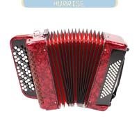 Instrument Accordéon, Accordéon 62 Touches avec 60 Boutons de Basse, Sac à Dos et Sangles pour Débutant à Professionnel