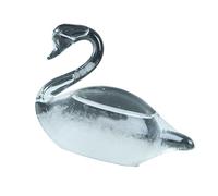 Instrument de météorologie en bouteille de tempête d ' oiseaux pour la prévision météorologique et les décorations intérieures élégantes, décoration de maison tendance, unique pour la fête des