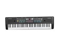 Instrument De Piano Électronique Orgue Électronique Professionnel 61 Touches Clavier Numérique Portable Avec Microphone