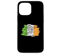 Instrument Irlandais Bouzouki Grec Coque pour iPhone 13 Pro Max