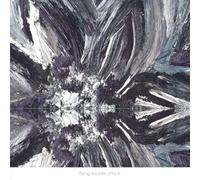 Flying Saucer Attack – Instrumentals 2015 – Vinyle 12" (2 vinyles) – Domino Records