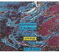 Instruments of Darkness (Prodigy Mix, 1991) [Import]