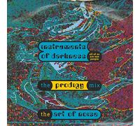 Instruments of Darkness (Prodigy Mix) [Import]