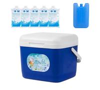 Insulated Cooler | 6L Leakproof Portable Long-Lasting | Pique-nique Cooler Box