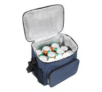 Insulated Cooler Bag, Cooling Tote, 10.24x6.69x9.45 inches, Lunch Box Bag, Long Lasting Cold Storage for Camping, Beach, Hiking, BBQ, Travel, Boating, Work, Picnic, Outdoor, School, Road Trip
