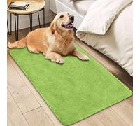Insun Tapis Salon Shaggy Lavable, Doux Moelleux Tapis Chambre Antidérapant Vert 1 200 x 200 cm