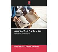 Insurgentes Norte / Sul