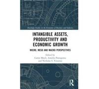 Intangible Assets Productivity and Economic Growth Intangible Assets Productivity and Economic Growth (Auteur)